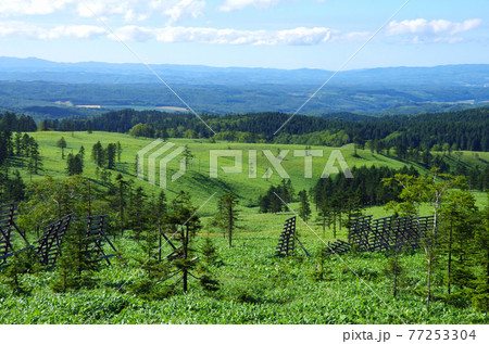 美幌国道沿いの美幌峠からの眺め 77253304