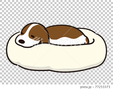 Dog resting in pet bed Dog resting in pet bed 77253373