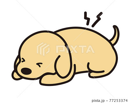 腰痛 椎間板ヘルニアの犬のイラスト素材