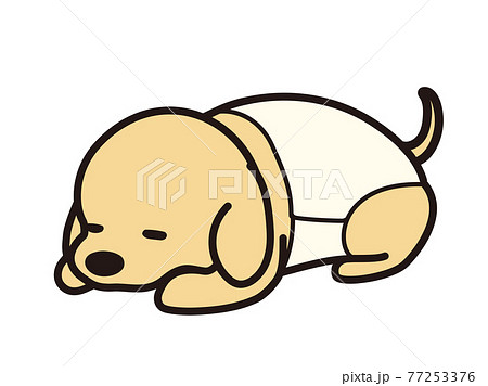 腰痛 椎間板ヘルニアの犬 コルセットのイラスト素材