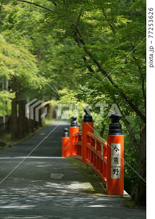 今熊野神社の新緑 77253626