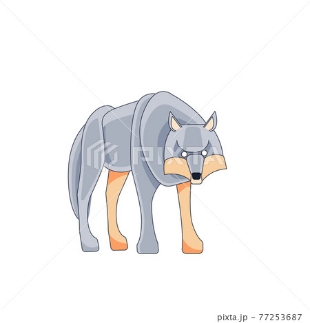 Big Wolf looks and walks straight. Cartoon character of a dangerous mammal animal. A wild forest creature with gray fur. Front view. Vector flat illustration isolated on a white background Big Wolf looks and walks straight. Cartoon character of a dangerous mammal animal. A wild forest creature with gray fur. Front view. Vector flat illustration isolated on a white background 77253687