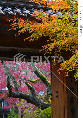 ≪京都 亀岡 神蔵寺の紅葉≫ 京都府亀岡市 明智光秀ゆかりの地 ≪京都 亀岡 神蔵寺の紅葉≫ 京都府亀岡市 明智光秀ゆかりの地 77254331