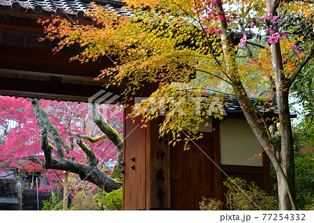 ≪京都　亀岡　神蔵寺の紅葉≫　京都府亀岡市　明智光秀ゆかりの地 77254332
