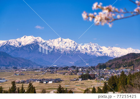 長福寺から北アルプスを望む 77255425