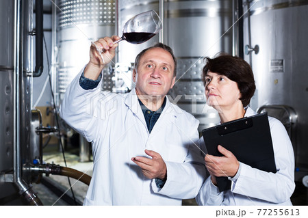Two experts in winery Two experts in winery 77255613