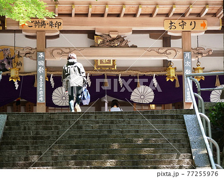 大阪　東大阪市　拝殿と参拝者（枚岡神社、春） 77255976