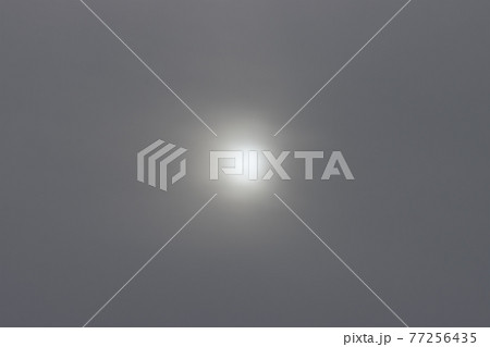 The sun shines in the fog. 77256435