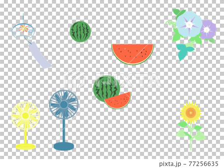 夏　セット 77256635