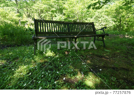 四季の散歩　春　たじま高原植物園 77257876