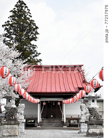 栃木県宇都宮市　雀宮神社　　 77257976