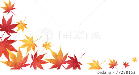 秋の紅葉のベクターイラストフレーム背景 秋の紅葉のベクターイラストフレーム背景 77258153