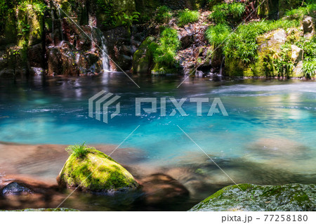 新緑の頃菊池渓谷の美しい風景 新緑の頃菊池渓谷の美しい風景 77258180