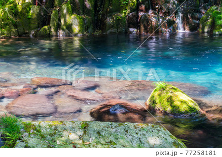 新緑の頃菊池渓谷の美しい風景 新緑の頃菊池渓谷の美しい風景 77258181