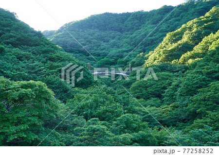 群馬県 碓氷第三橋梁上からの新碓氷川橋梁 群馬県 碓氷第三橋梁上からの新碓氷川橋梁 77258252