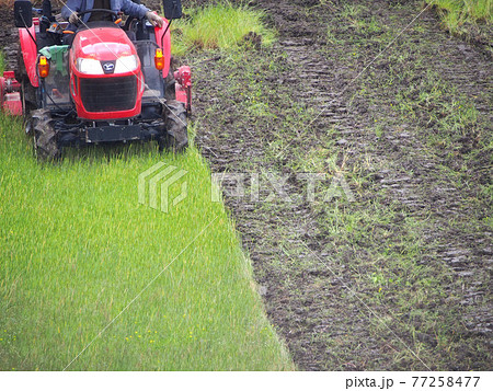 田おこし 77258477