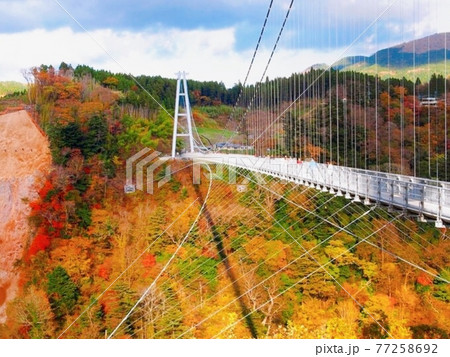 秋の天空の散歩道 九重”夢”大吊橋 77258692