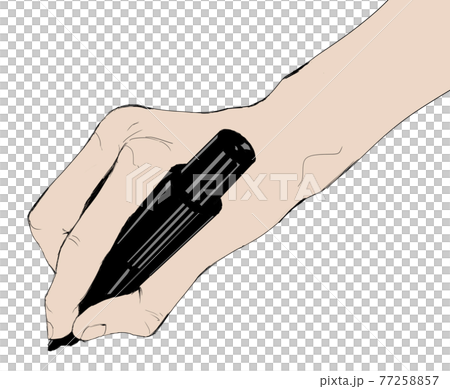 Illustration of a realistic hand holding a felt-tip pen Illustration of a realistic hand holding a felt-tip pen 77258857