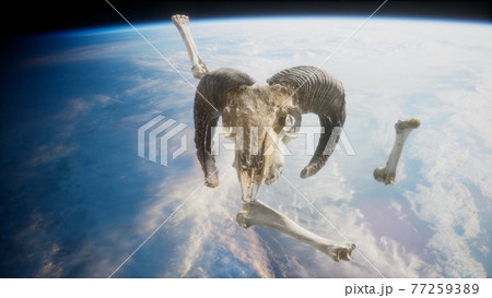 rams skull with bones at Earth orbit 77259389