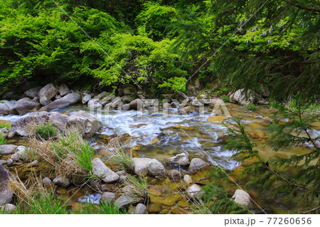 串原七つの滝　渓流 77260656