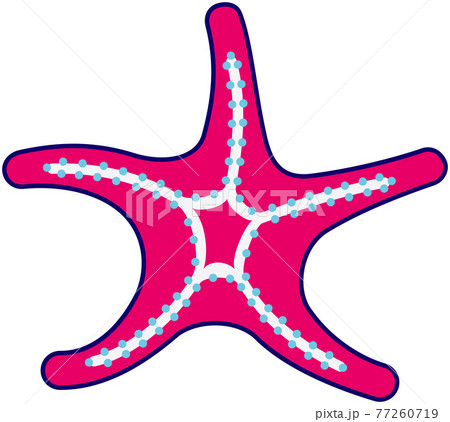 ヒトデのイラストのイラスト素材