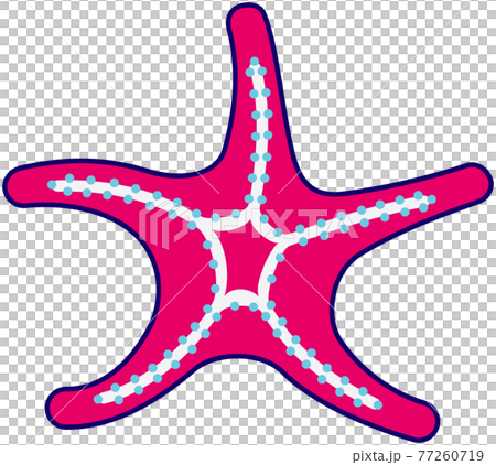 ヒトデのイラストのイラスト素材