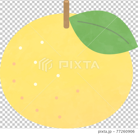 夏みかんのイラスト素材