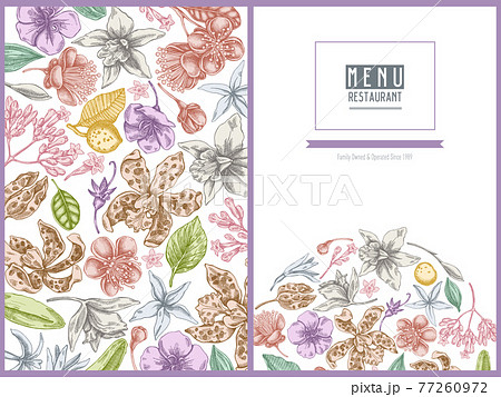 Menu cover floral design with pastel laelia, feijoa flowers, glory bush, papilio torquatus, cinchona 77260972