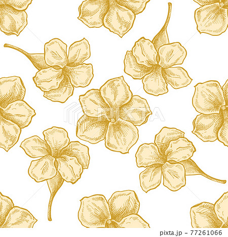 Seamless pattern with hand drawn pastel allamanda 77261066