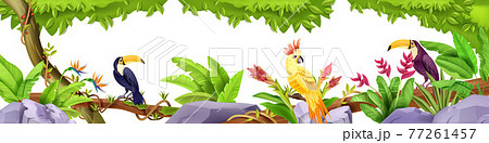 Jungle exotic birds border, tropical nature rainforest illustration, toucan, parrot, liana, rock 77261457