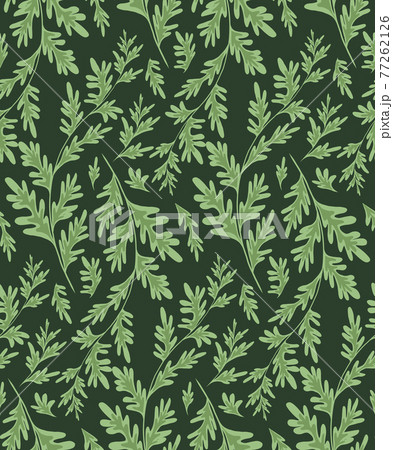 1074 Artemisia Vulgaris Images Stock Photos  Vectors  Shutterstock