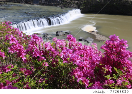 川 河 滝 77263339