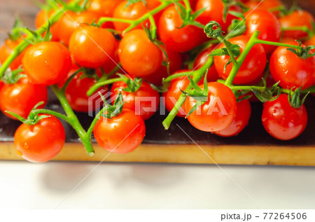 Covered with drops of water, fresh tomatoes with sprigs on wood Covered with drops of water, fresh tomatoes with sprigs on wood 77264506