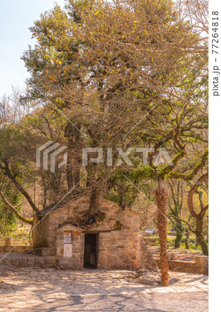 Agia Theodora church in Peloponnese, Greece 77264818