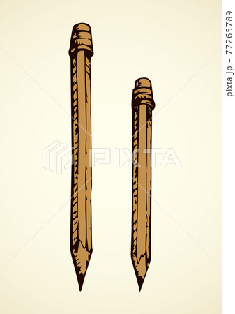 Pencil. Vector drawing Pencil. Vector drawing 77265789