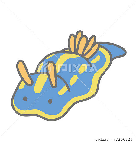 アオウミウシのイラストのイラスト素材
