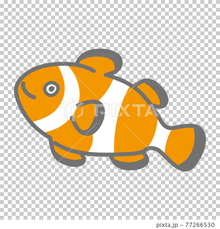 Illustration of clown fish 77266530
