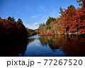 秋晴れの湖風景 77267520