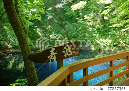 十二湖青池の看板 十二湖青池の看板 77267563