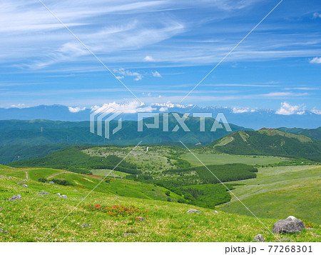 初夏の草原と残雪の山(霧ヶ峰高原と北アルプス) 77268301