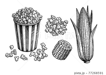 Popcorn And Corn Set のイラスト素材