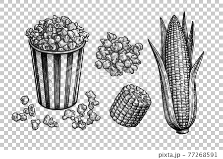 Popcorn And Corn Set のイラスト素材 Popcorn And Corn Set のイラスト素材