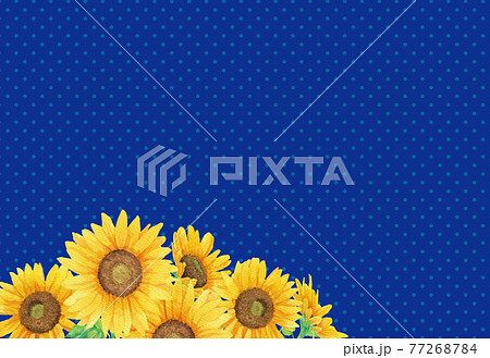 水彩の向日葵と水玉背景のイラスト（青） 77268784