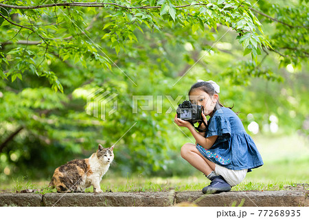 猫の写真を撮る少女 77268935