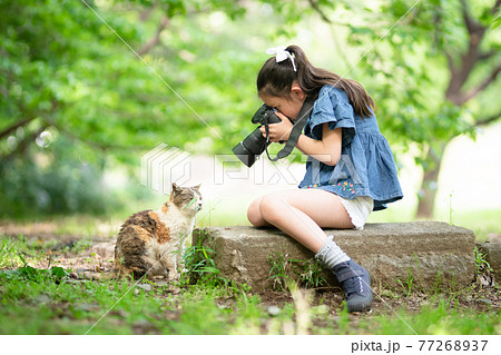 猫の写真を撮る少女 77268937