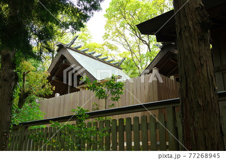 おのころ島神社本殿(淡路島・兵庫県南あわじ市) おのころ島神社本殿(淡路島・兵庫県南あわじ市) 77268945