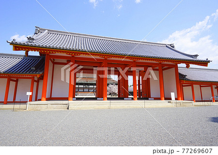 京都御所、京都市、京都府、日本 77269607