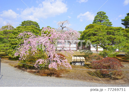 京都御所、京都市、京都府、日本 京都御所、京都市、京都府、日本 77269751
