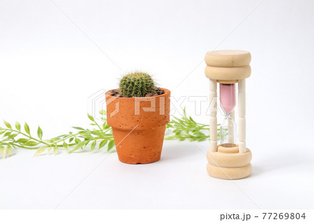 砂時計 時計 砂 時間 タイム 雑貨 小物 サボテン 観葉植物 多肉植物 インテリア 植物 日用品の写真素材