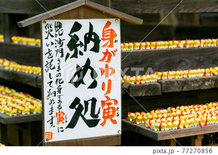 埼玉県所沢市　多聞院の身がわり寅 77270856